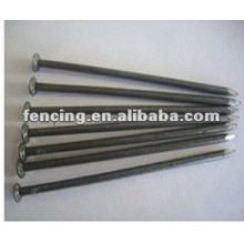 Common iron nails (10 years' factory)